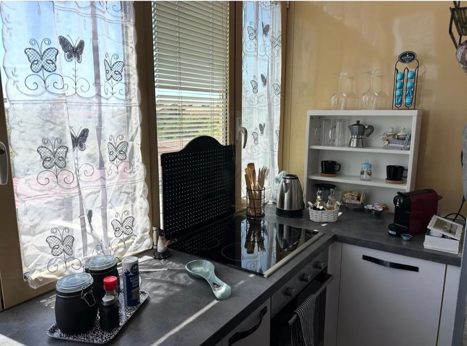 Coffee/tea facilities, Kitchen or kitchenette, minibar, stove