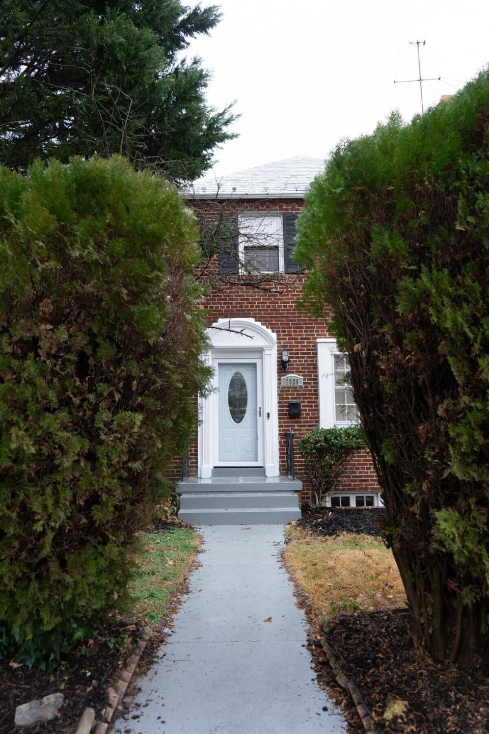 Property building, Garden, Garden view