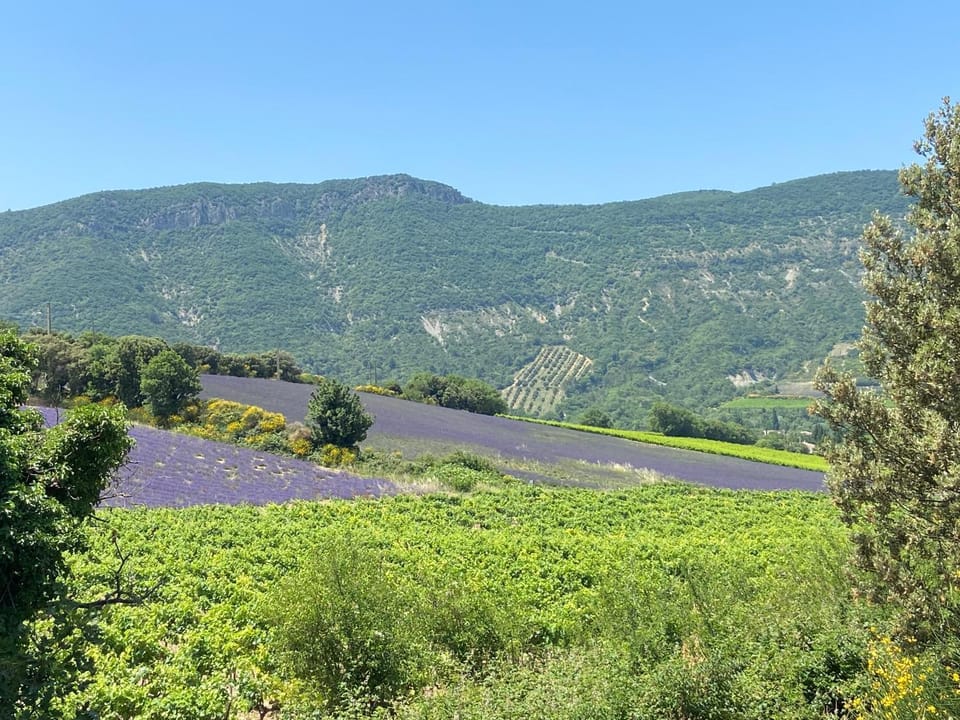 L'oranger House in Provence