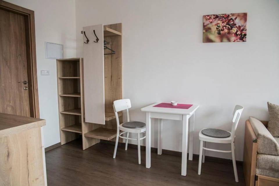 Penzion U Červené podkovy Bed and Breakfast in Czechia