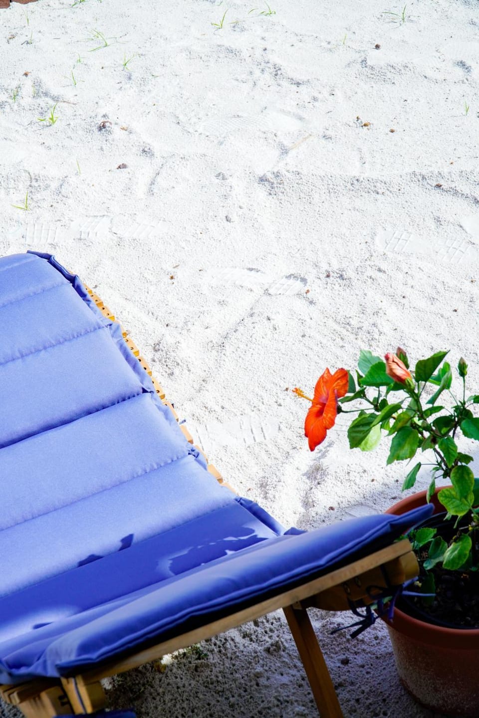 Day, sunbed