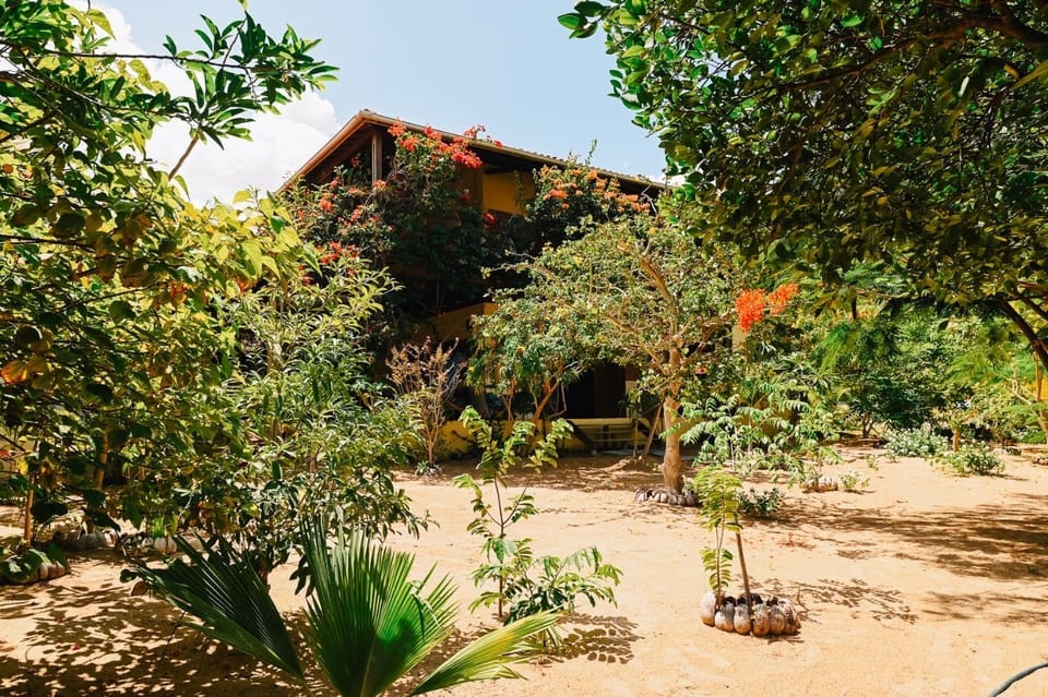 Casa Bem Te Vi House in State of Ceará