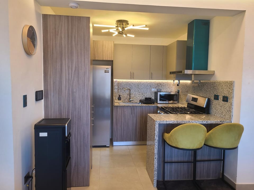 Lujoso exclusivo próximo monumento Apartment in Santiago de los Caballeros