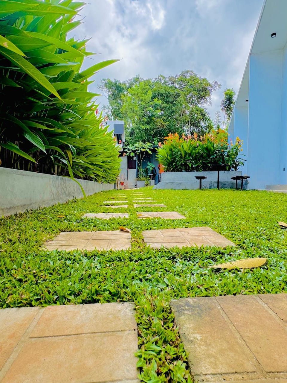 Garden, Garden view
