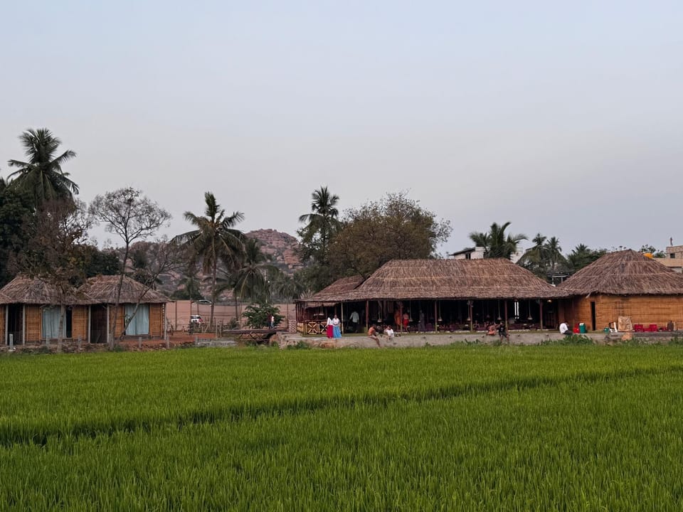 Garden view
