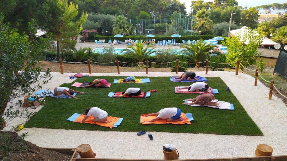 Natural landscape, Activities, group of guests