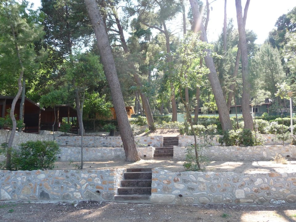 Day, Natural landscape, Garden, Other, Garden view