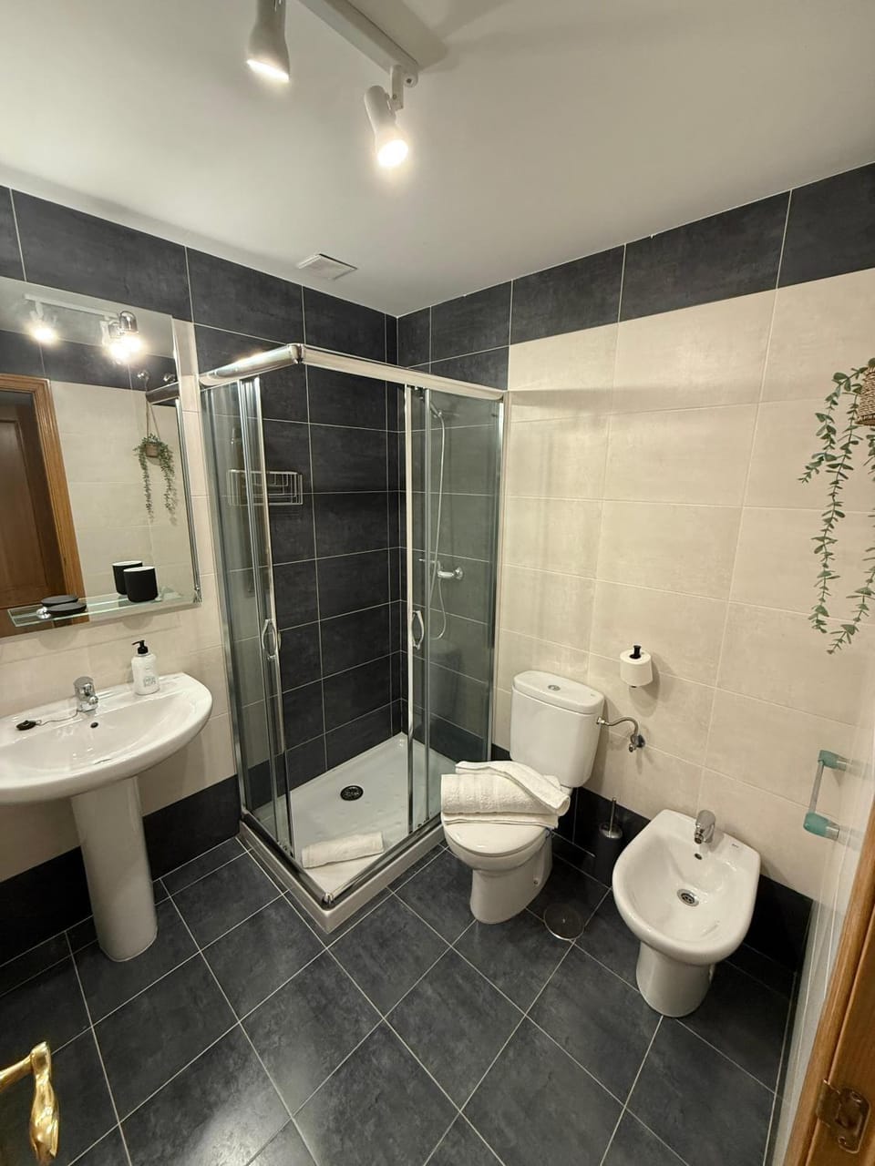 Shower, Bathroom, bidet