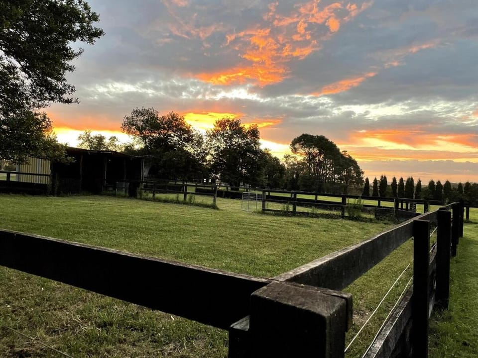 Natural landscape, Garden, Garden view, Sunrise, Sunset