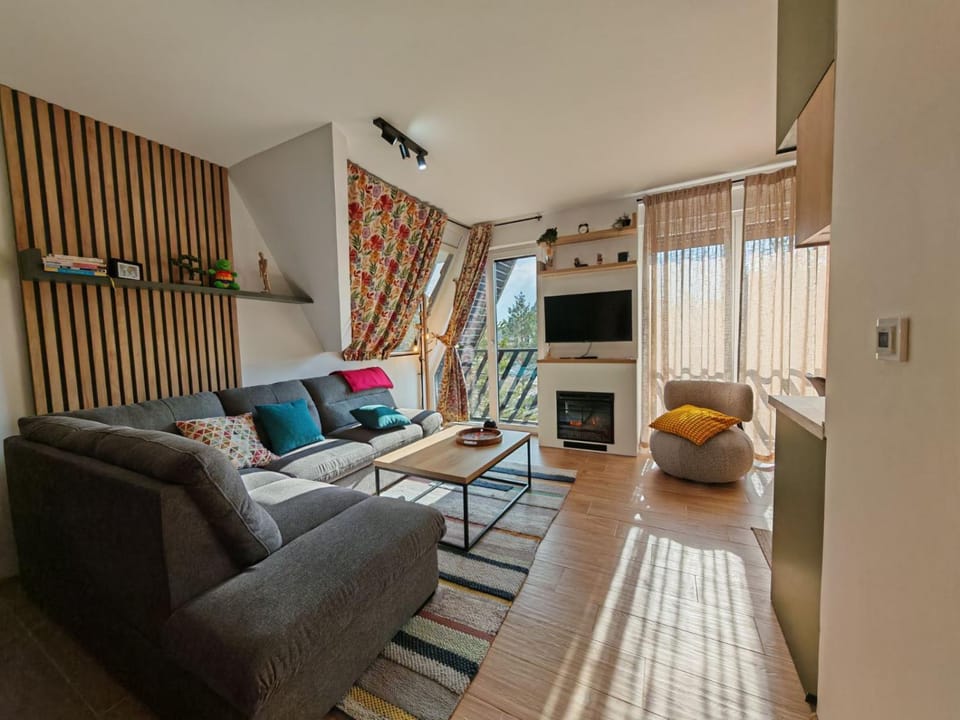 Apartman Serendipity - Vila Nada - Apartment in Zlatibor District, Serbia