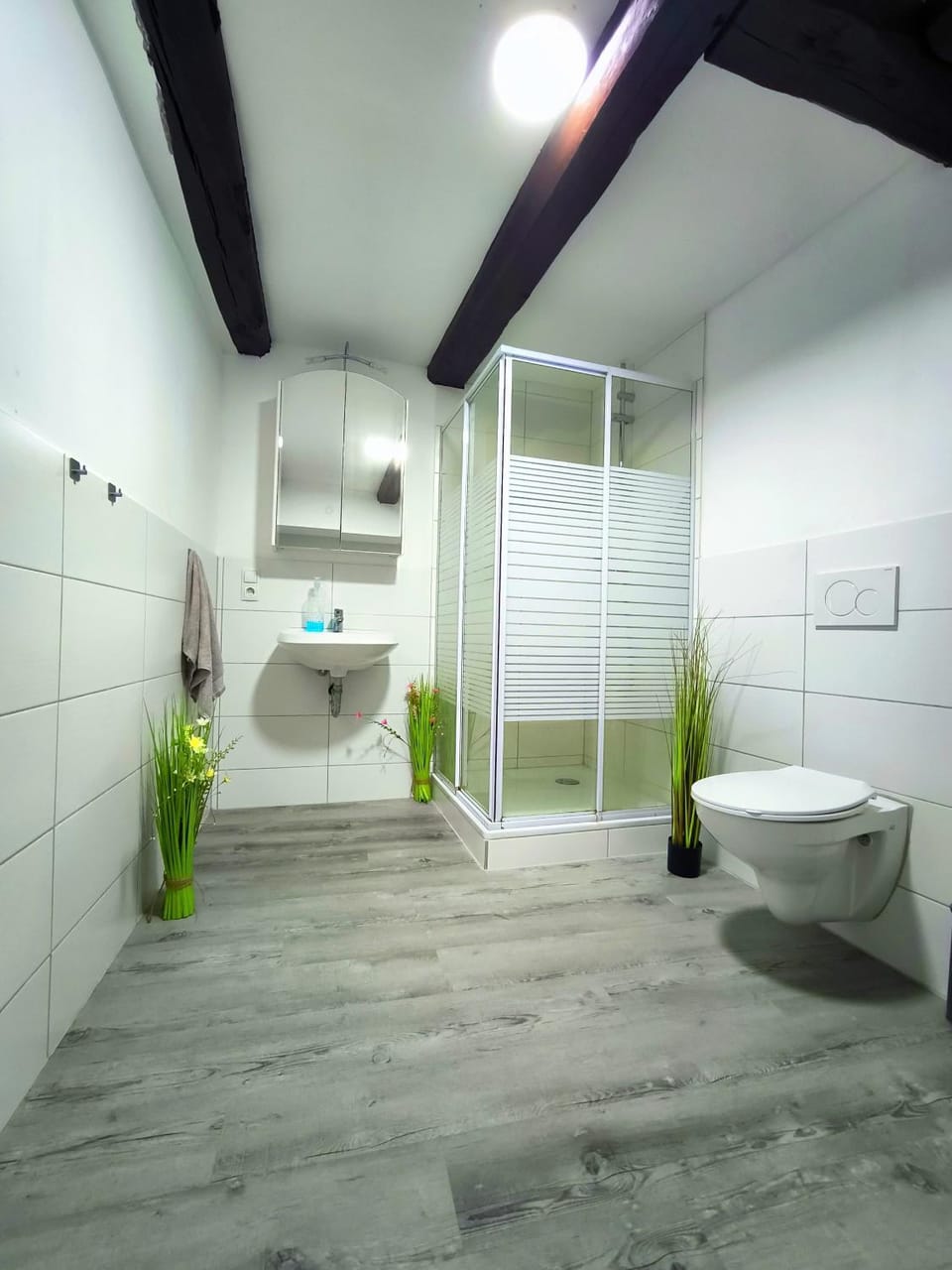 Shower, Toilet, Bathroom, towels