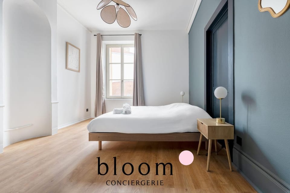 Appartement le Drouin D Standing Neuf Apartment in Nancy