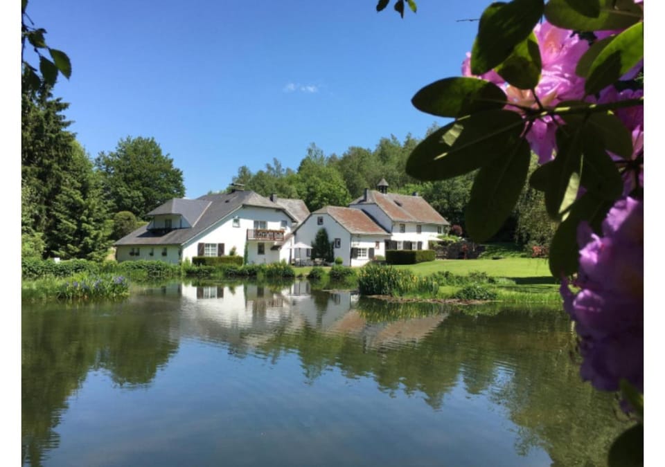 Lake view