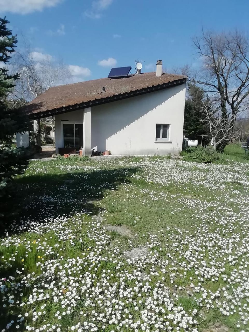 Property building, Spring, Day, Garden, Garden view