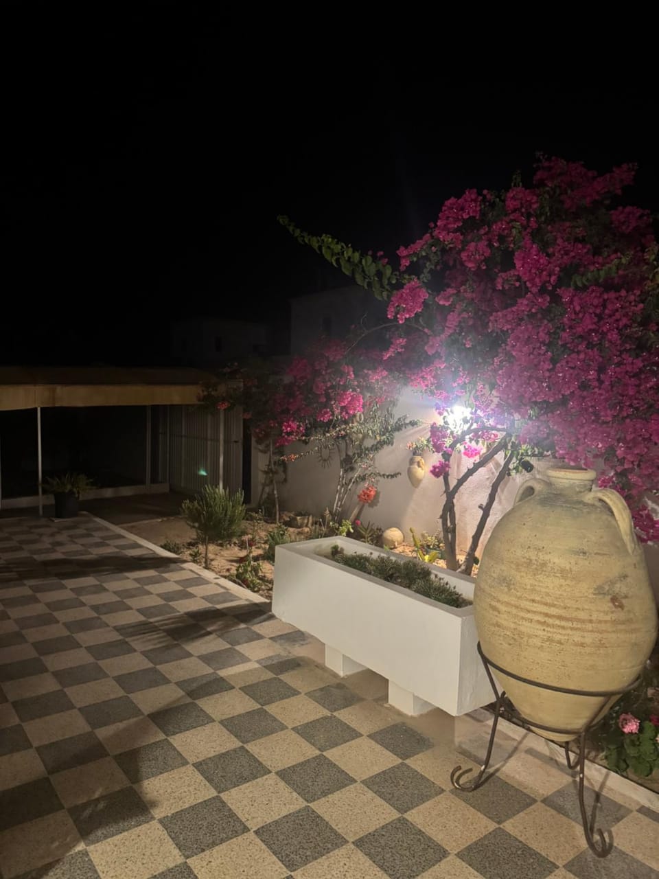Night, Garden, Garden view