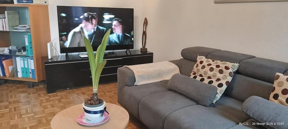 Jolie Chambre confortable proche de l'aéroport Vacation rental in Canton of Geneva