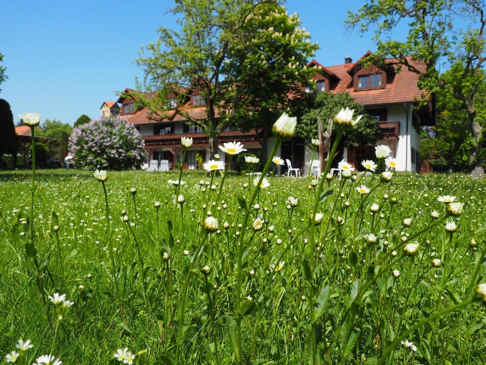 Property building, Spring, Garden view