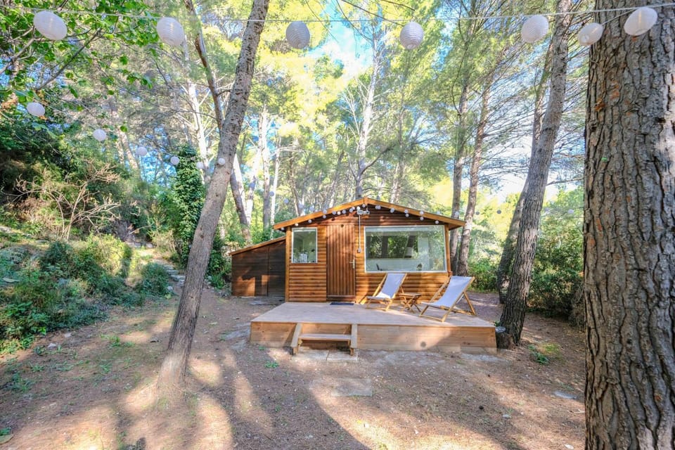 Natural landscape, Garden, Garden view
