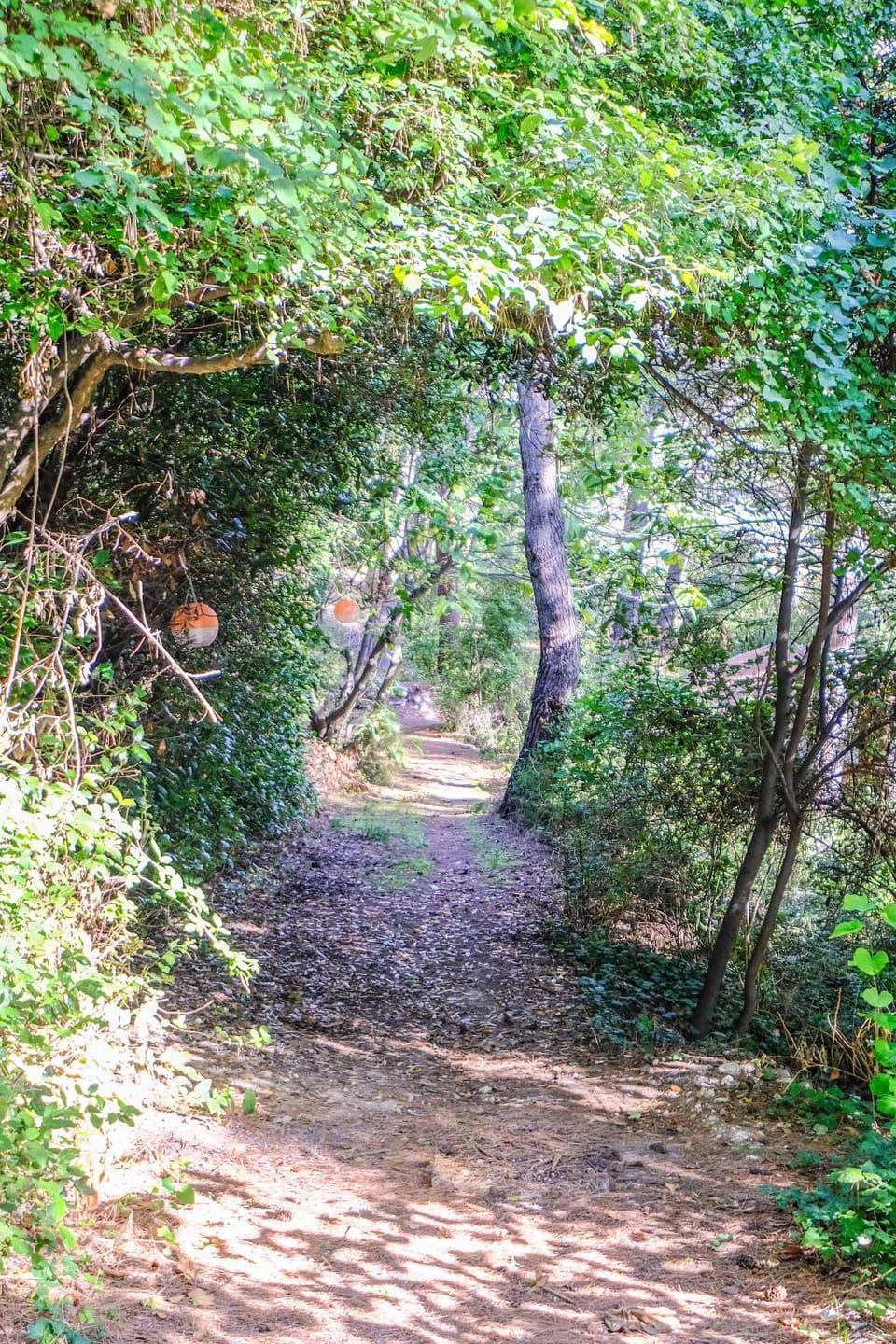 Natural landscape
