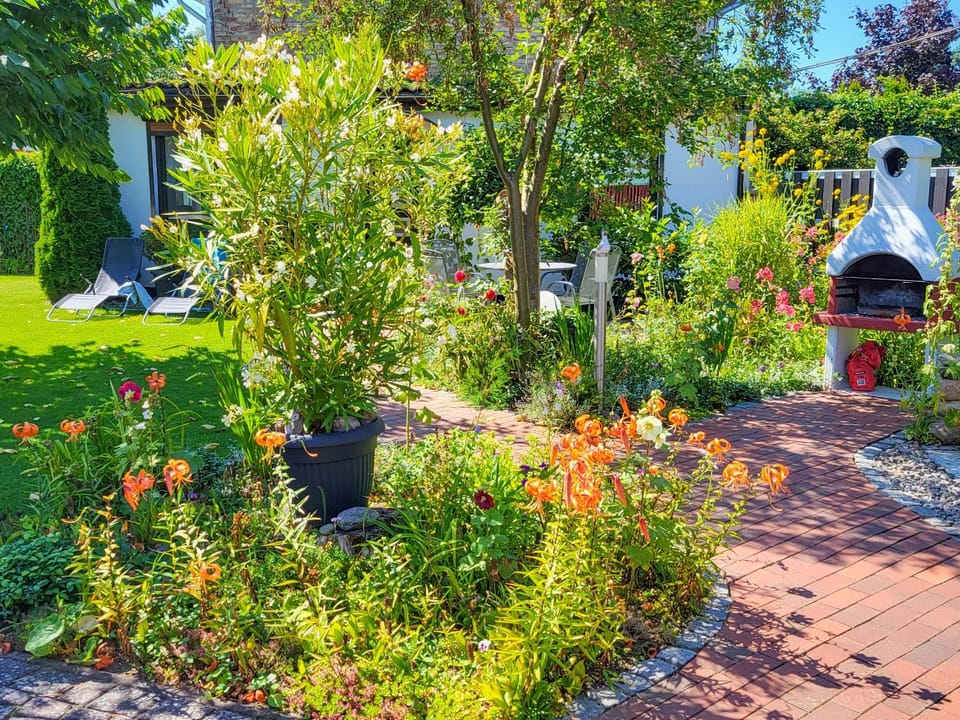 Day, Garden, Garden view