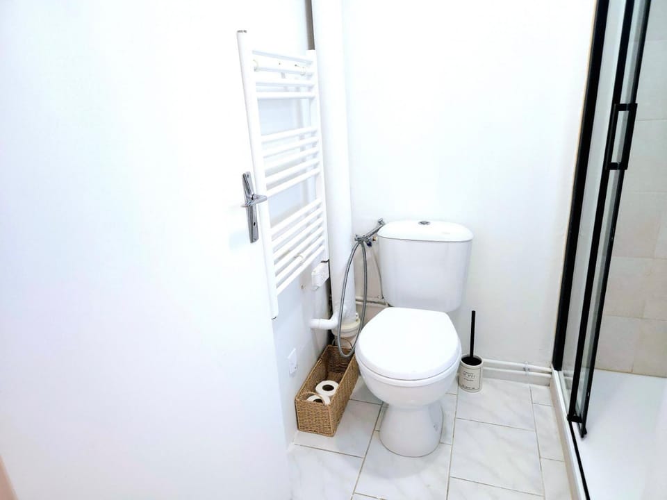 Toilet, Bathroom, hair dryier