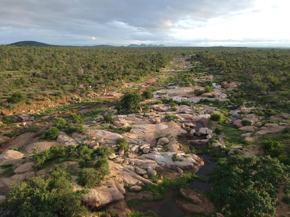 Natural landscape