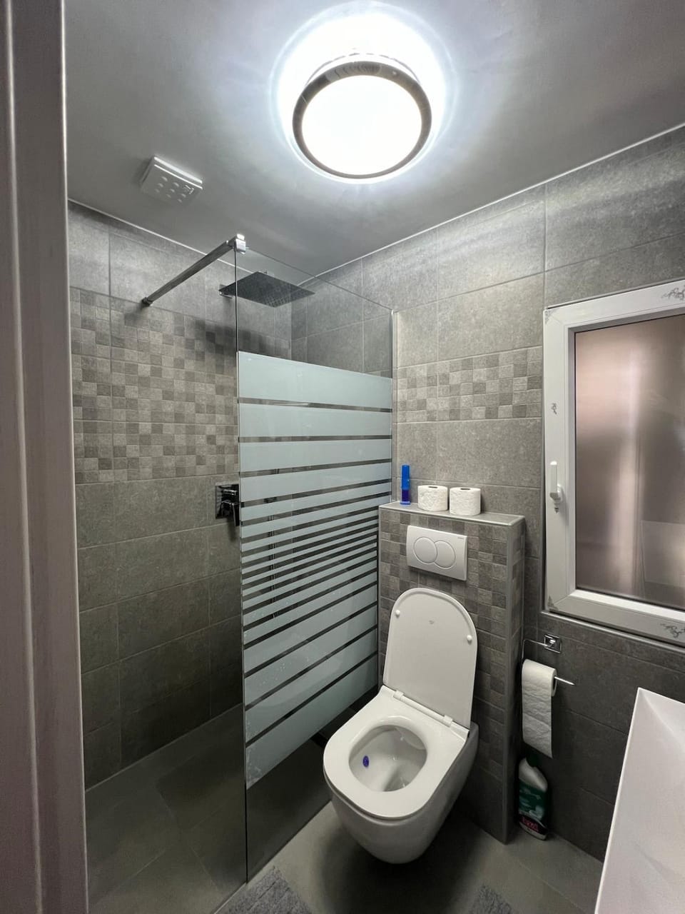 Central Crown Apartment in Slovenia