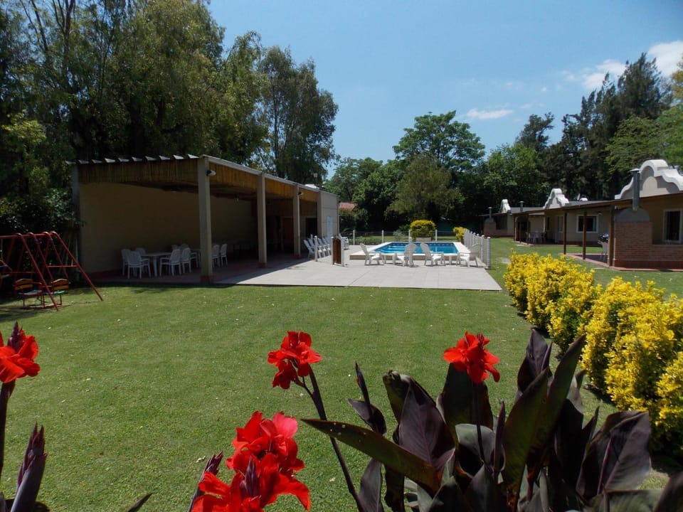 Garden, Garden view, Swimming pool