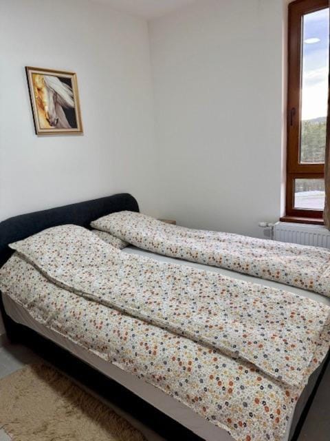 Suncani kutak Apartment in Zlatibor District, Serbia