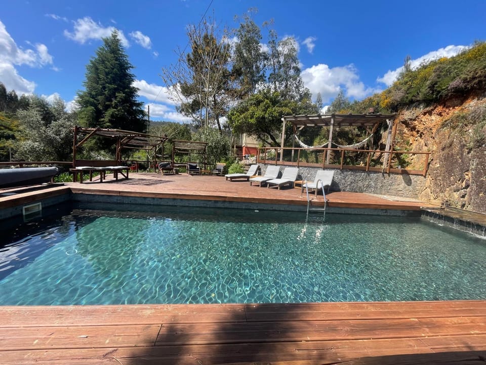Day, Natural landscape, Garden, Garden view, Pool view, Swimming pool, Swimming pool, sunbed