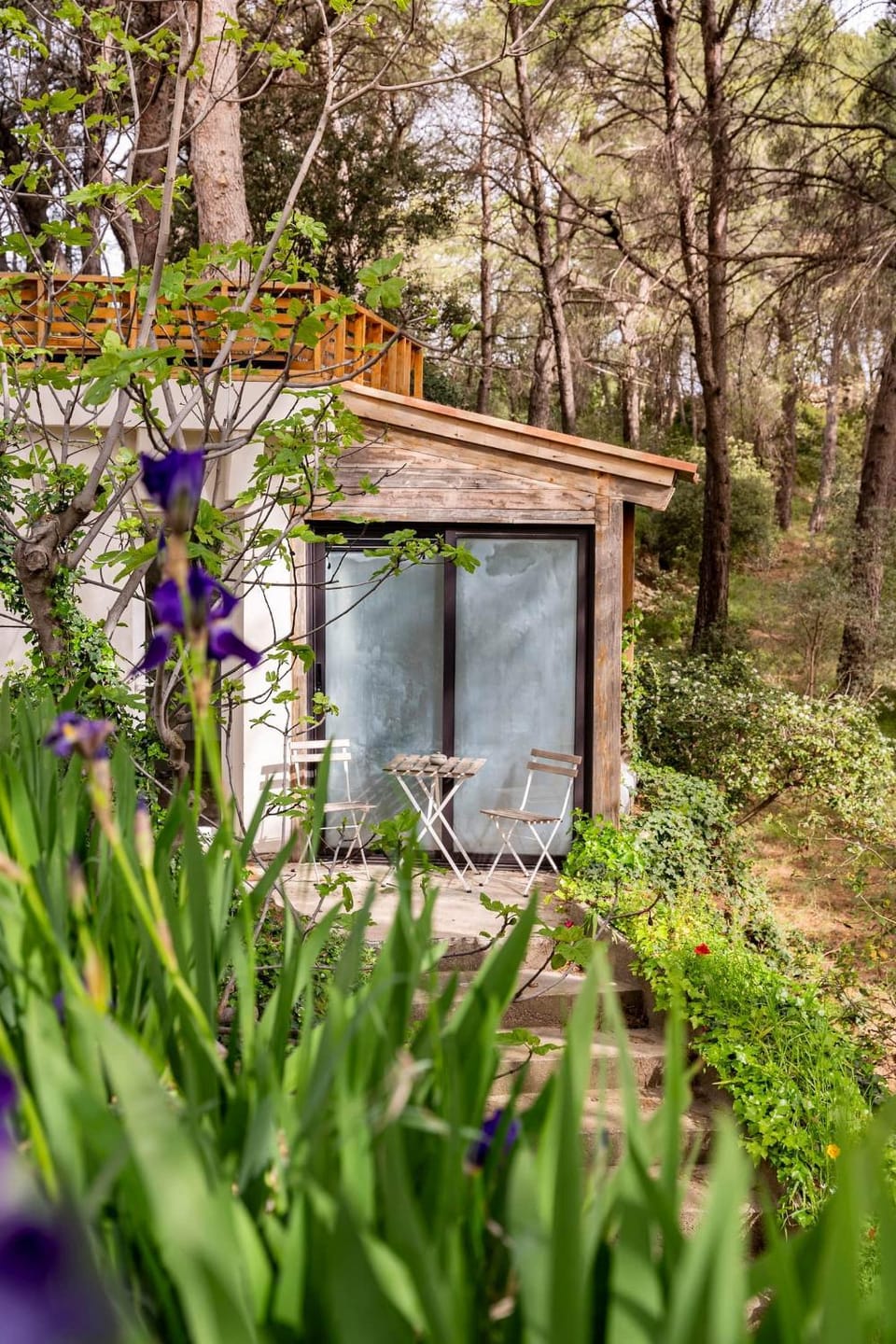 Natural landscape, Garden view