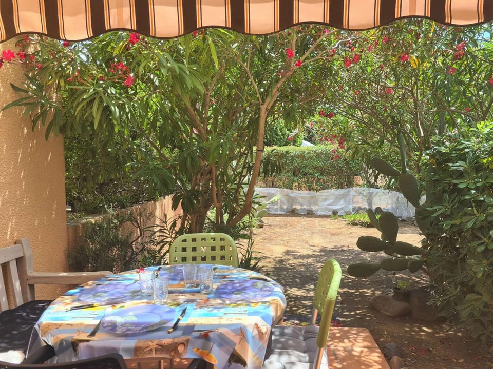Patio, Garden