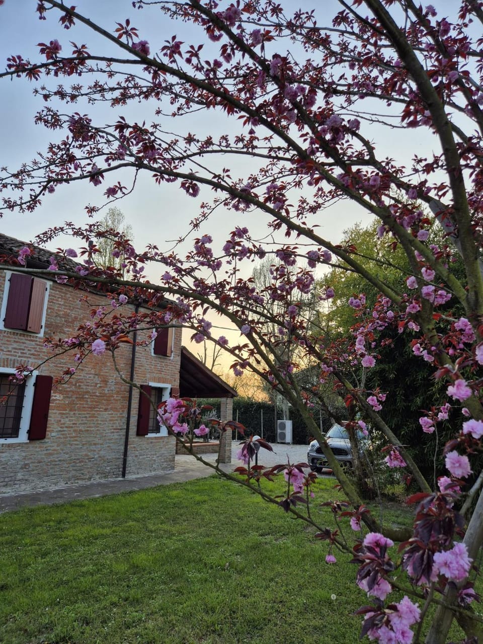 Property building, Garden, Garden view