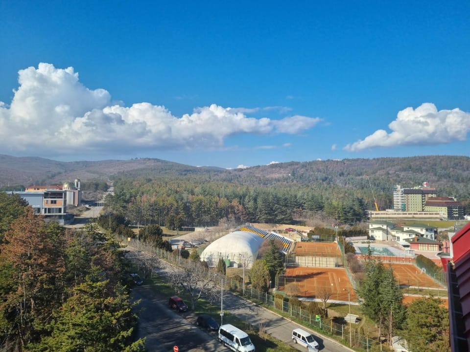 View (from property/room)