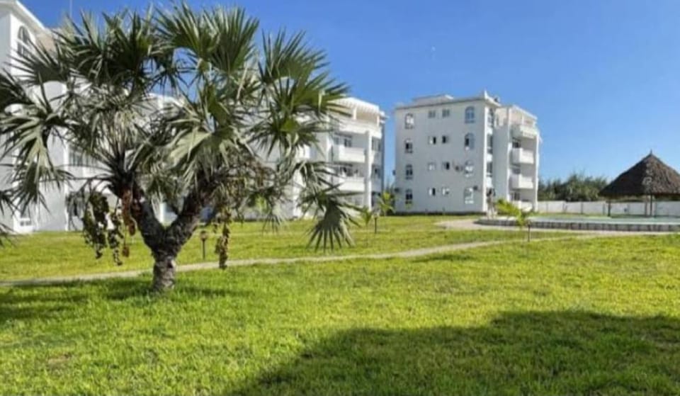 Property building, Garden, Garden view