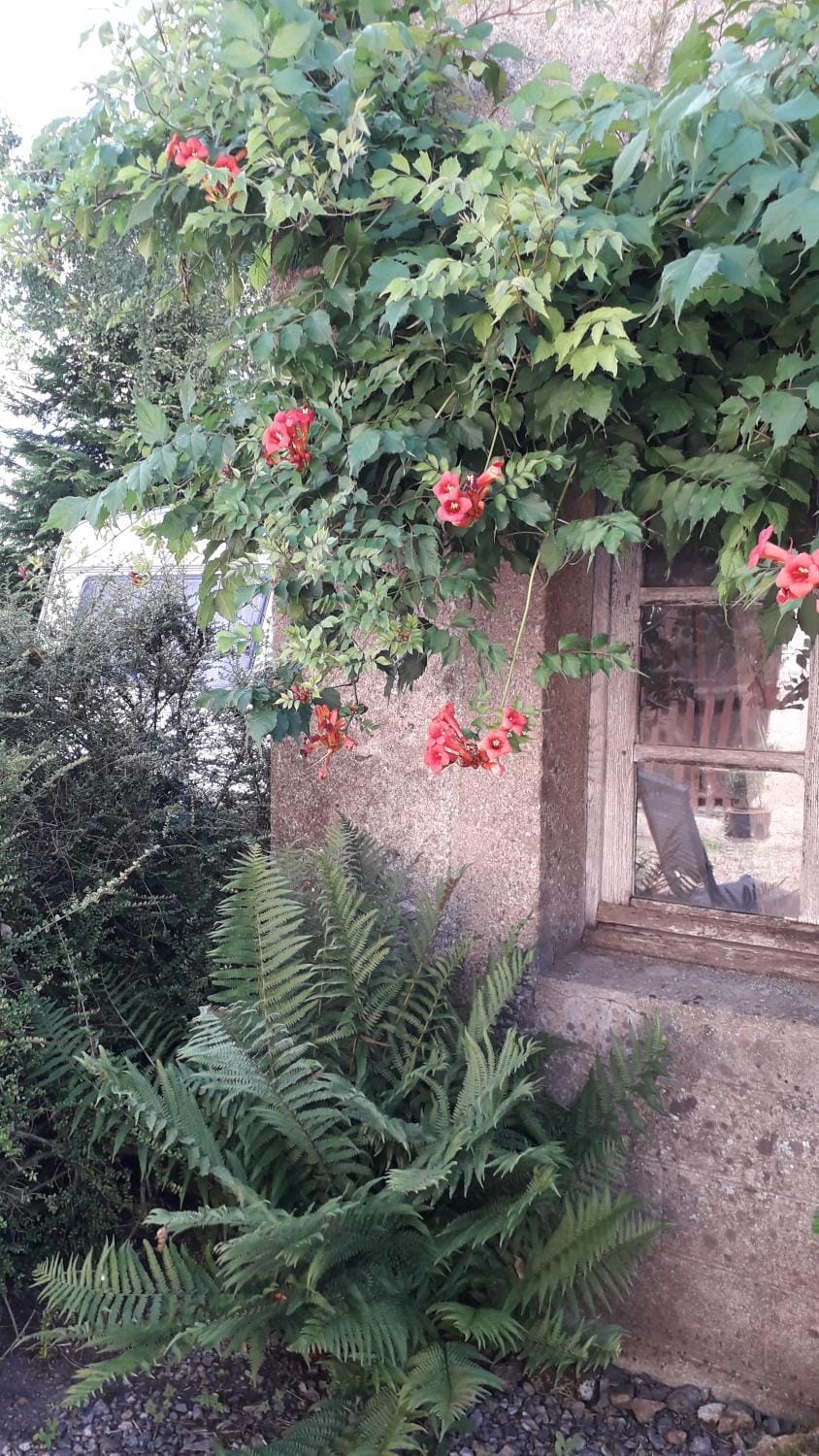 BNB Calme Bed and Breakfast in Nouvelle-Aquitaine