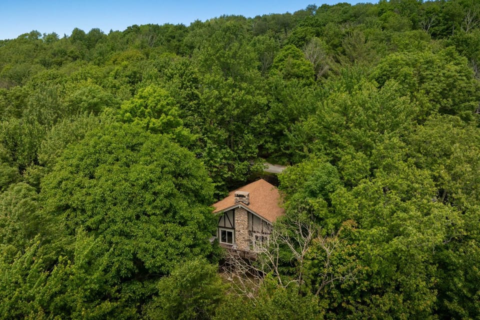 Southern Buffalo House in Beech Mountain