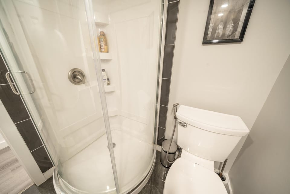 Shower, Toilet, Bathroom, bidet