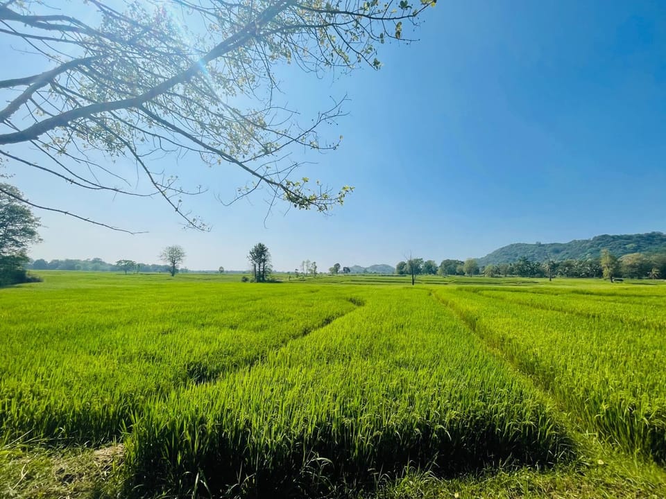 The Village Wellawaya Country House in Uva Province, Sri Lanka
