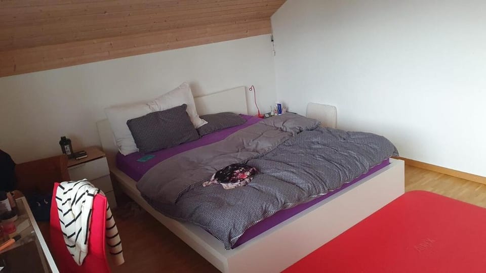 2 Bedroom Flat Kloten Apartment in Kloten