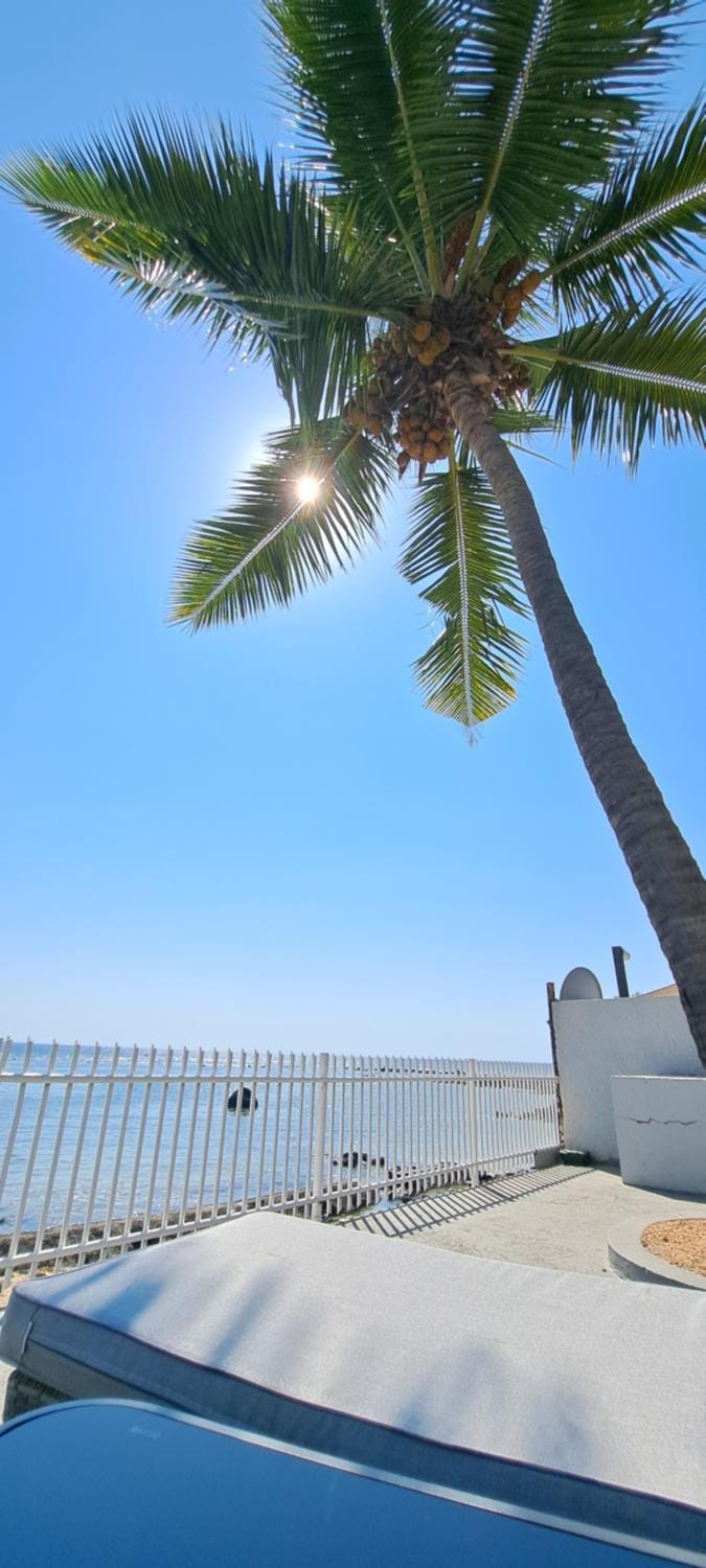 Day, Sea view, Swimming pool, sunbed