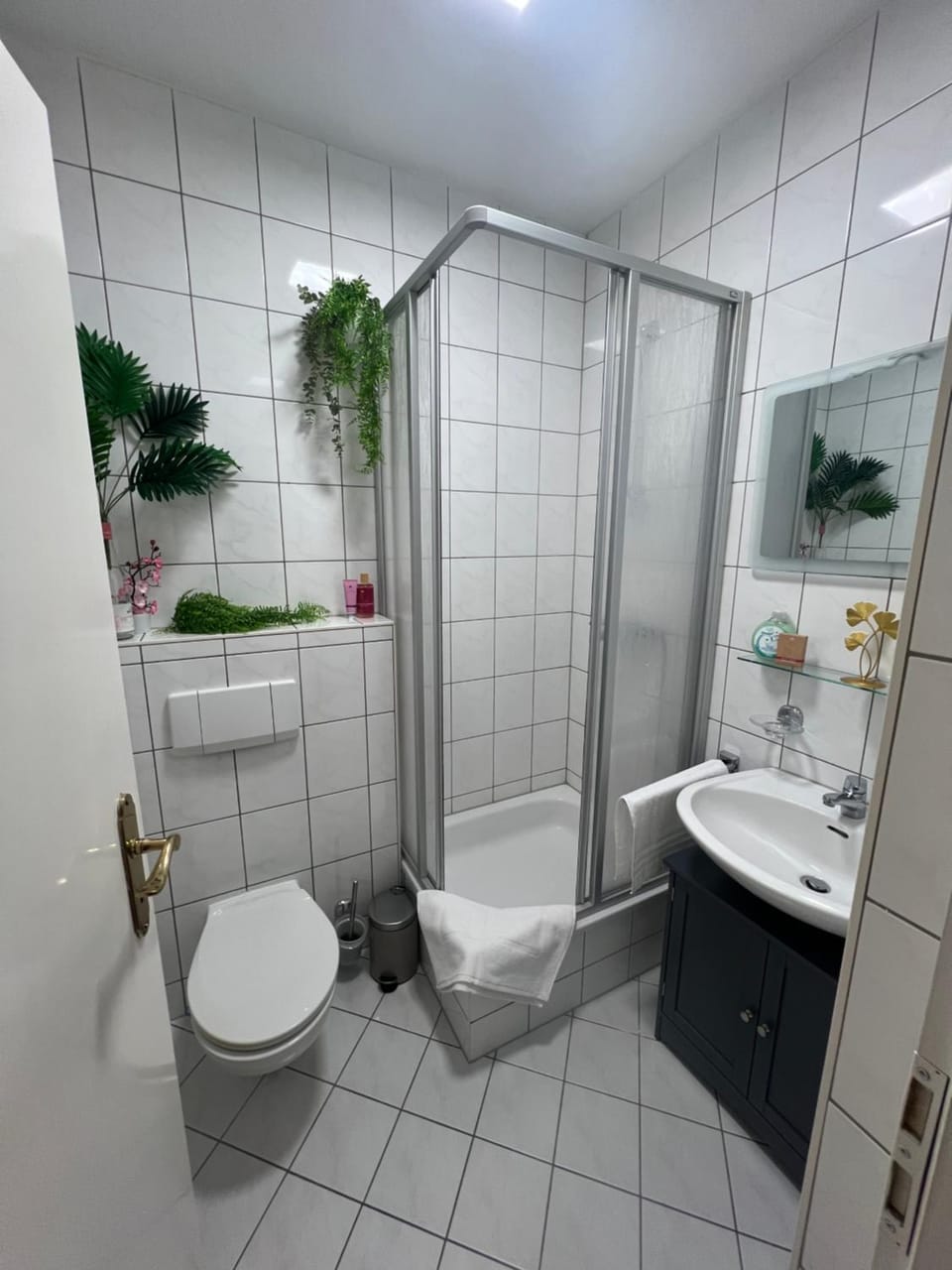 Shower, Bathroom