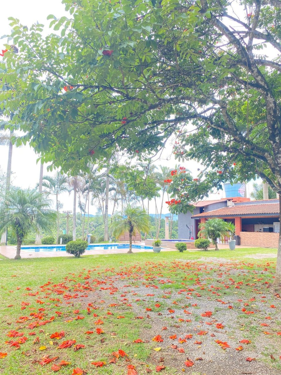 Recanto paz e alegria House in Mogi das Cruzes