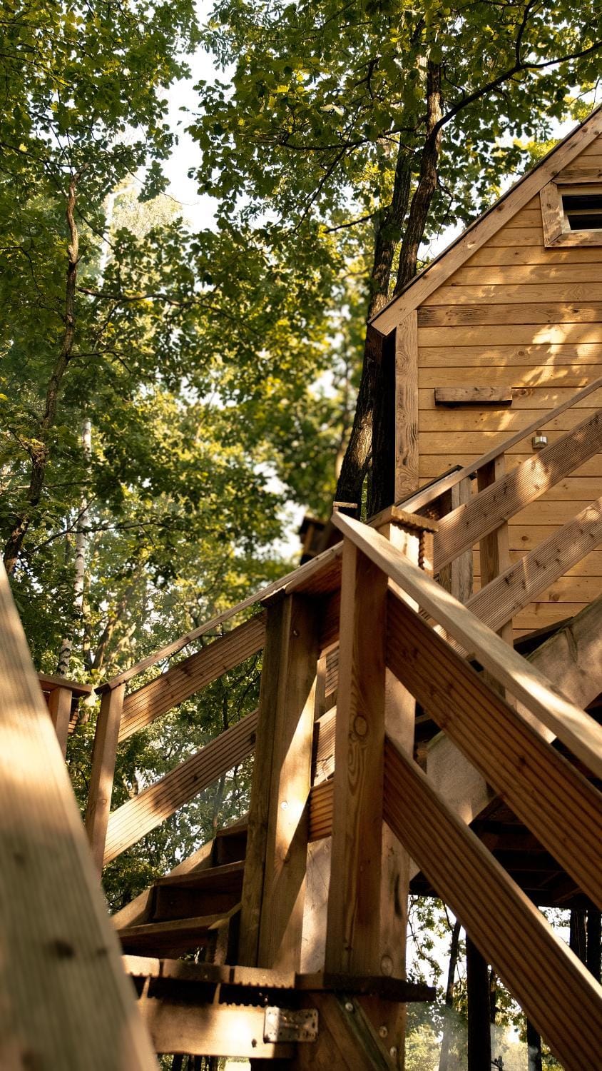 Stodoła na Drzewie Nature lodge in Masovian Voivodeship