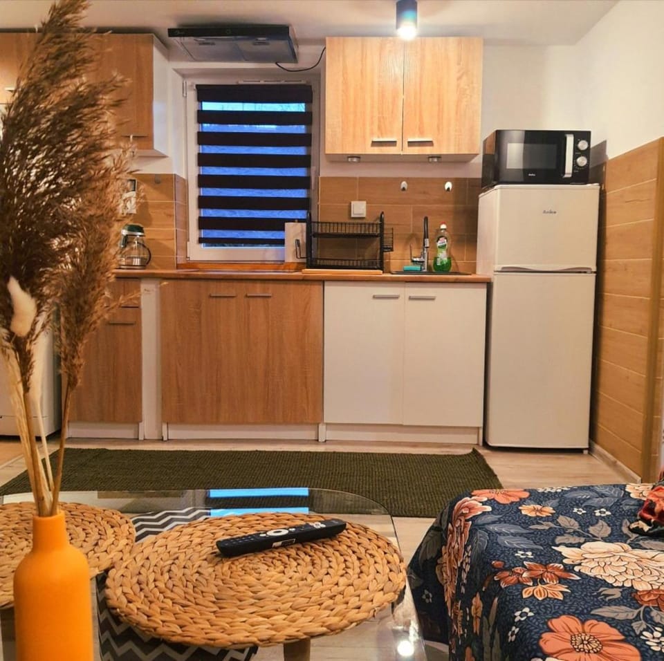 Mini CHata Chalet in Czechia