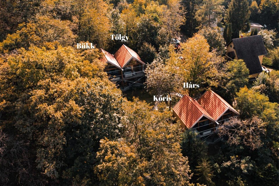 Property building, Natural landscape, Location