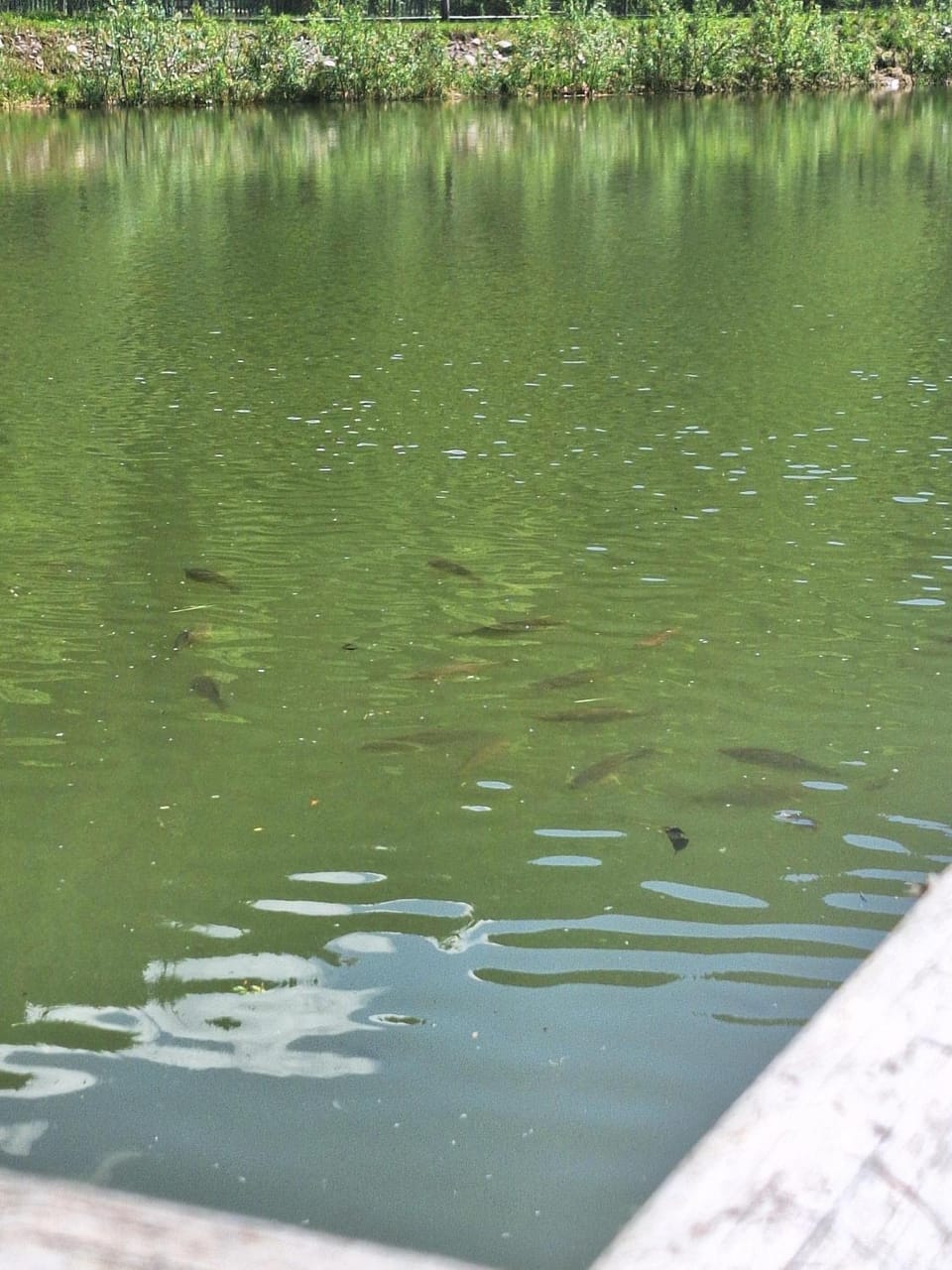 Fishing