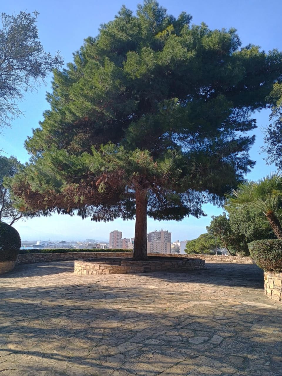 Natural landscape