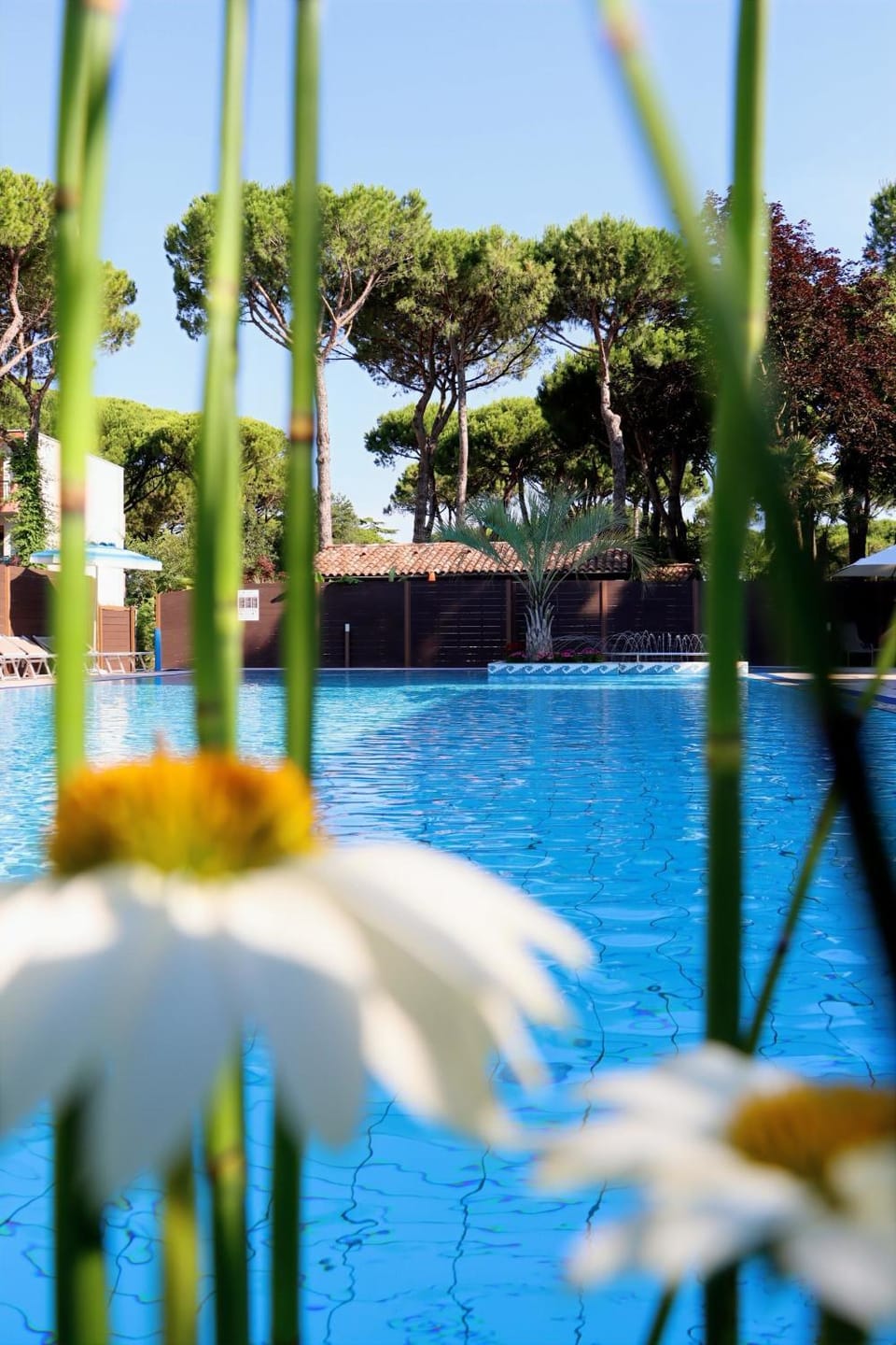 Harmonia Village Campground/ 
RV Resort in Lido di Jesolo