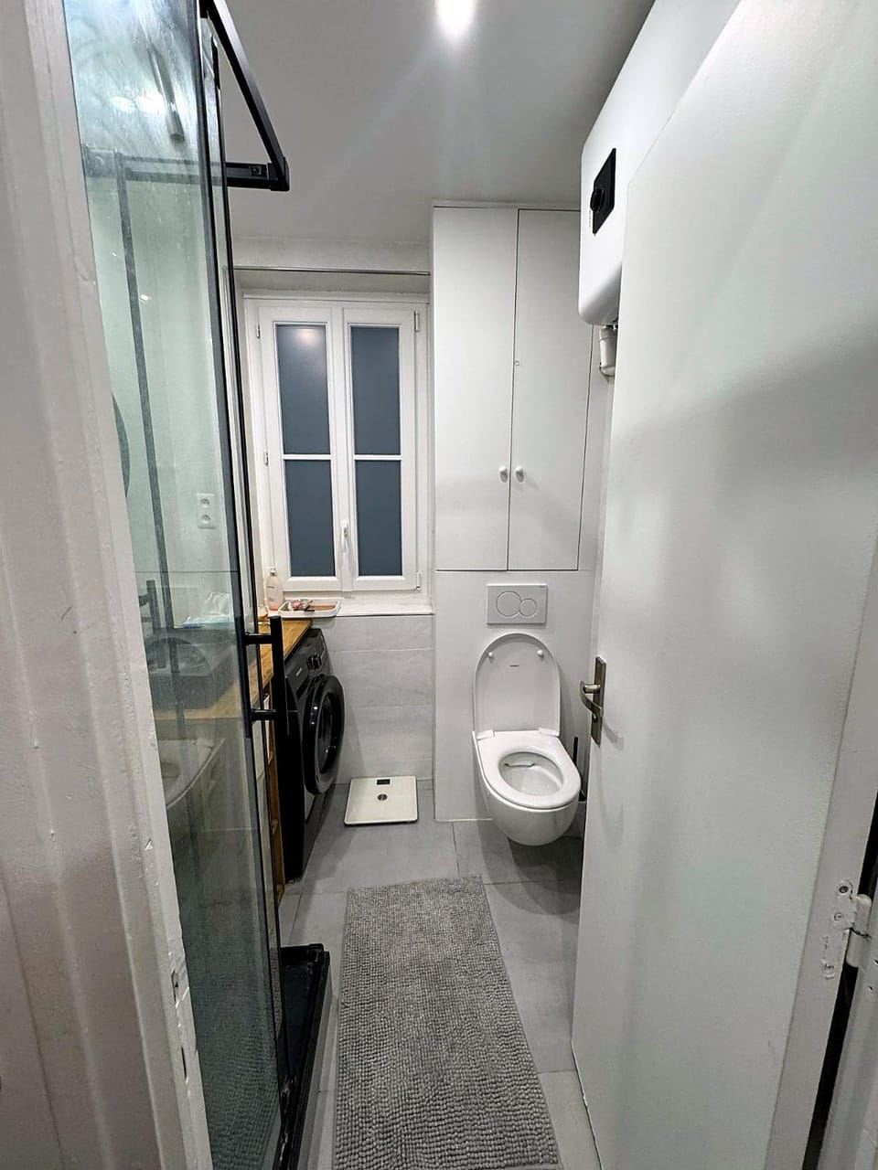Toilet, washing machine